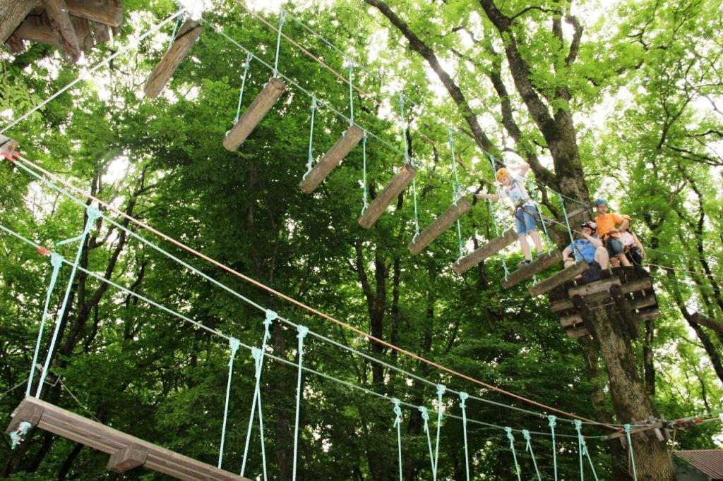 Monkey park пермь. Веревочный парк Ставрополь парк Победы. Джунгли парк Ставрополь Доваторцев. Парк Островского веревочный парк. Веревочный парк джунгли в парке Островского Ростов-на-Дону.