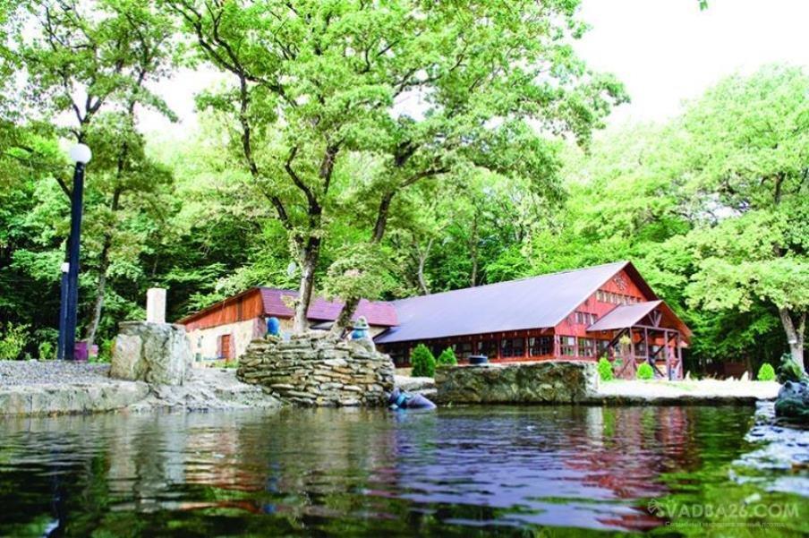 Лесное озеро верхнерусское фото Лесное озеро верхнерусское фото