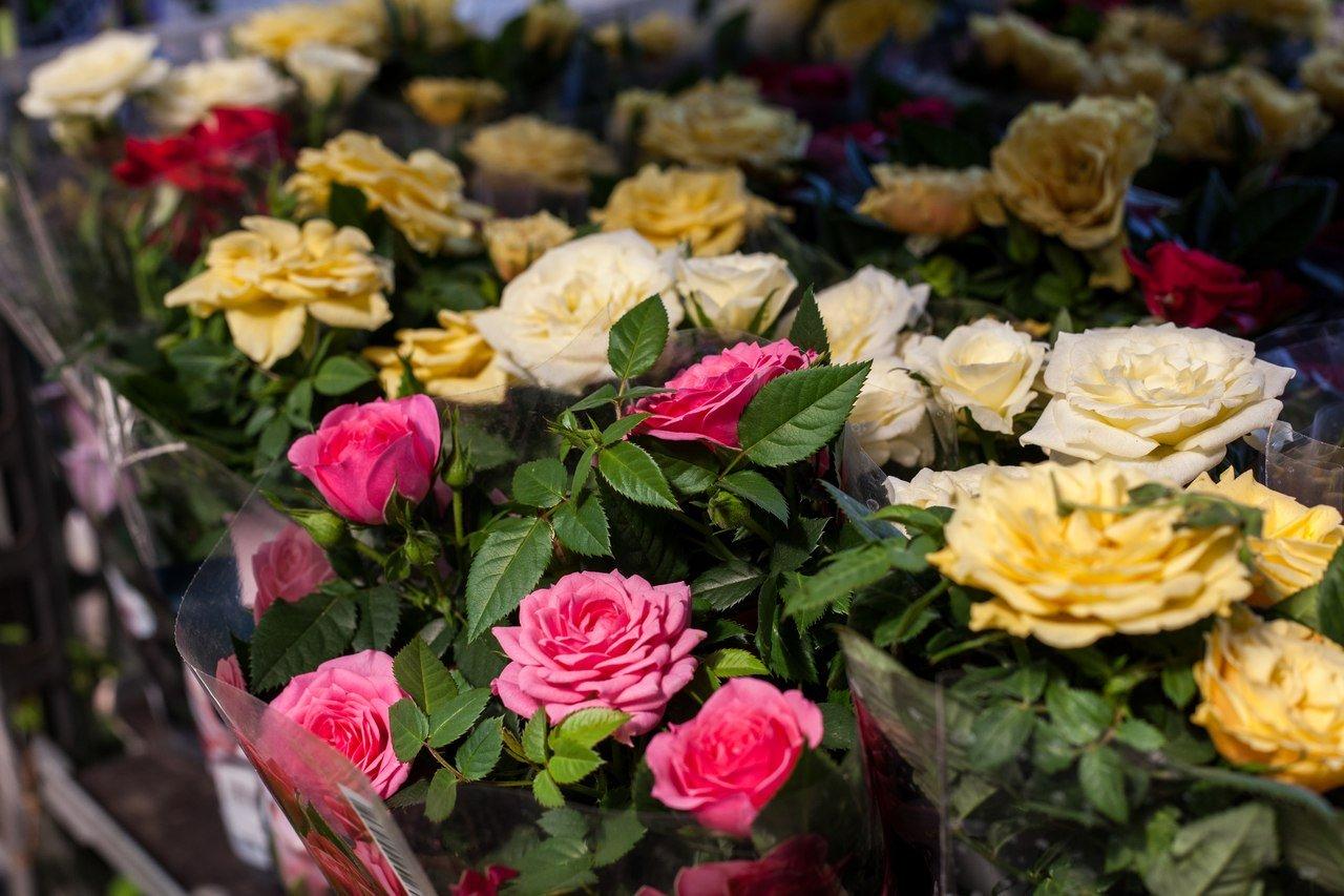 Купить розы в ставрополе. Мир цветов. Долина цветов Новочеркасск. Свой мир цветов.